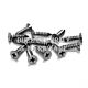 Access Hardware T171 Gravity Hinge Fixings Screws For 20mm Board SSS Pack of 12