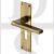 Heritage Brass TR3148-AT Door Handle Euro Profile Plate Trident Design Antique Brass
