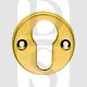 Carlisle Brass AA145PB Raised Face Fix Euro Cylinder Escutcheon Polished Brass