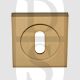 Carlisle Brass SZM003SB Square UK Keyway Concealed Fix Escutcheon Satin Brass