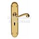Carlisle Brass DL271YPB Chesham Lever Euro Handle on Backplate Polished Brass